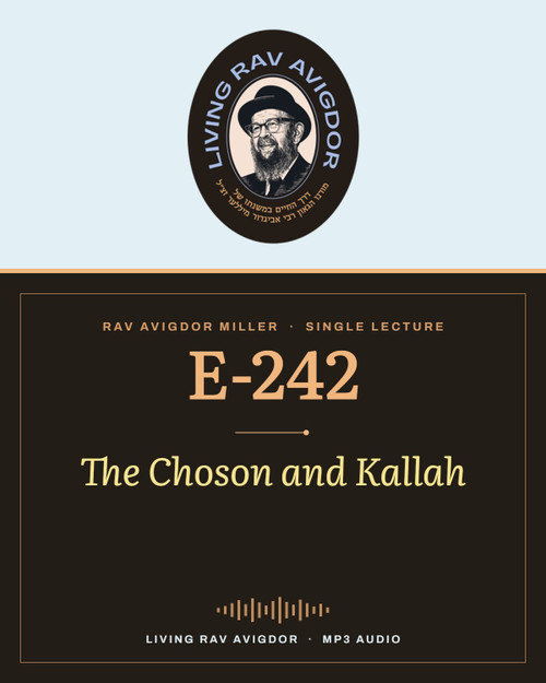 Rav Avigdor Miller MP3 lecture cover