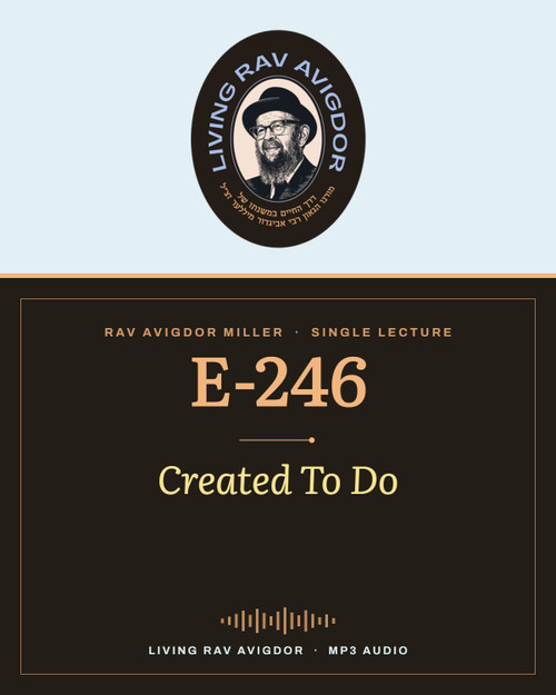 Rav Avigdor Miller MP3 lecture cover