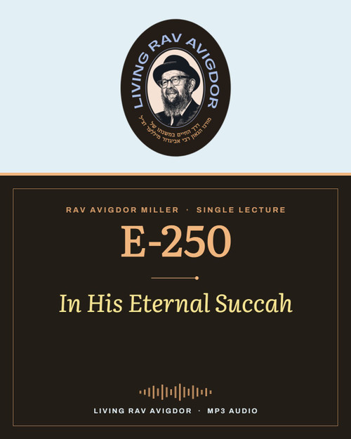 Rav Avigdor Miller MP3 lecture cover