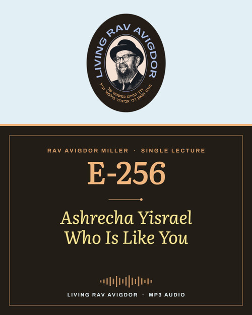 Rav Avigdor Miller MP3 lecture cover