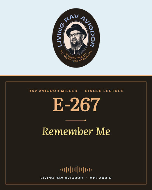 Rav Avigdor Miller MP3 lecture cover