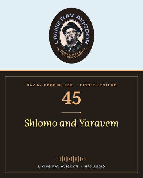 Rav Avigdor Miller MP3 lecture cover