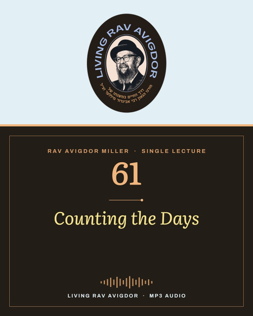 Rav Avigdor Miller MP3 lecture cover