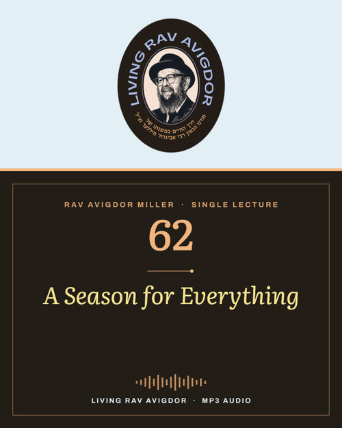 Rav Avigdor Miller MP3 lecture cover