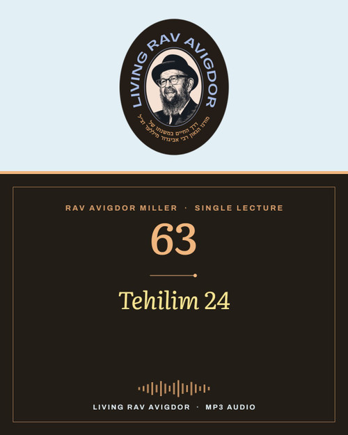 Rav Avigdor Miller MP3 lecture cover