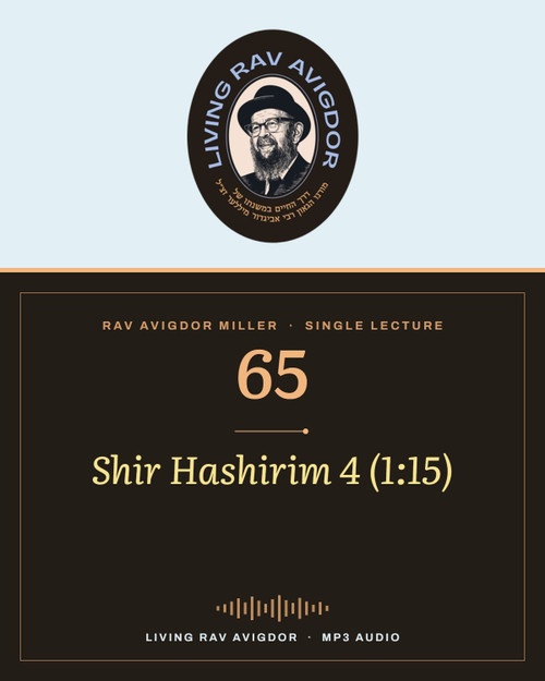 Rav Avigdor Miller MP3 lecture cover