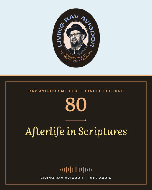 Rav Avigdor Miller MP3 lecture cover