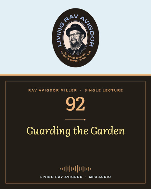 Rav Avigdor Miller MP3 lecture cover