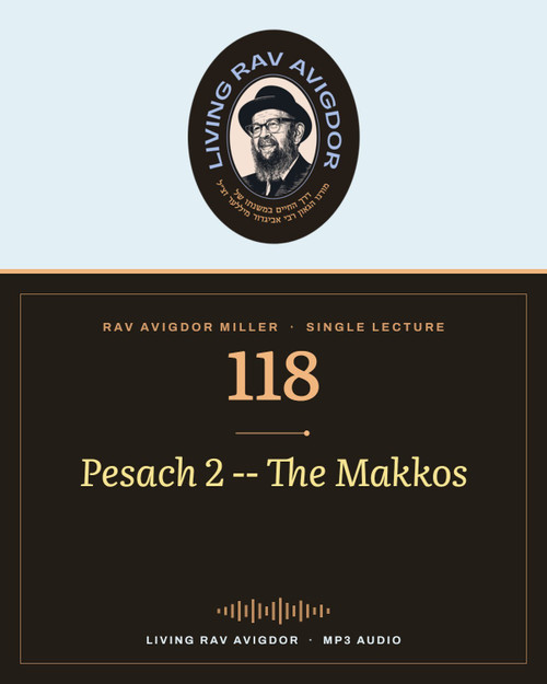 Rav Avigdor Miller MP3 lecture cover