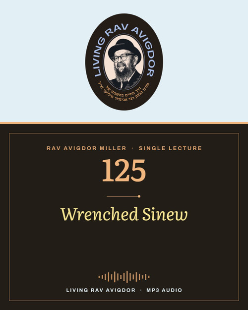 Rav Avigdor Miller MP3 lecture cover
