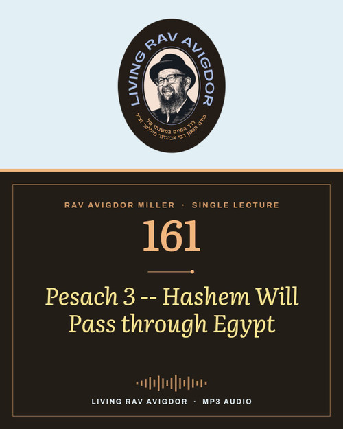 Rav Avigdor Miller MP3 lecture cover