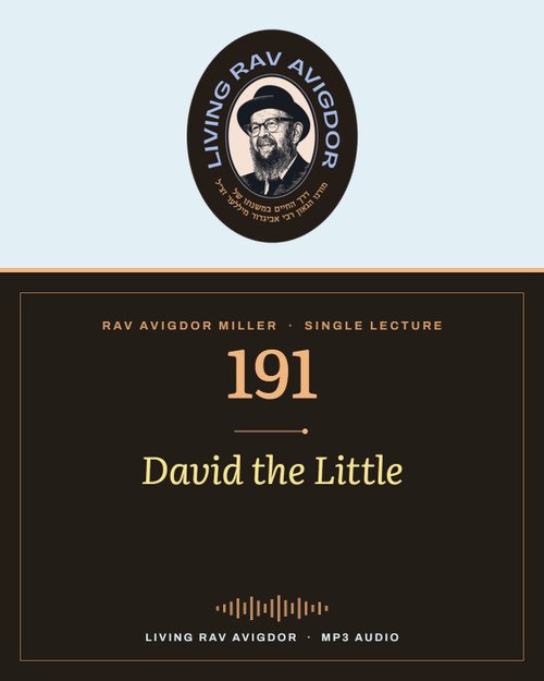 Rav Avigdor Miller MP3 lecture cover