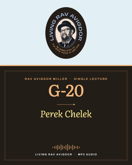 Rav Avigdor Miller MP3 lecture cover