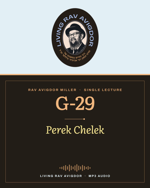 Rav Avigdor Miller MP3 lecture cover
