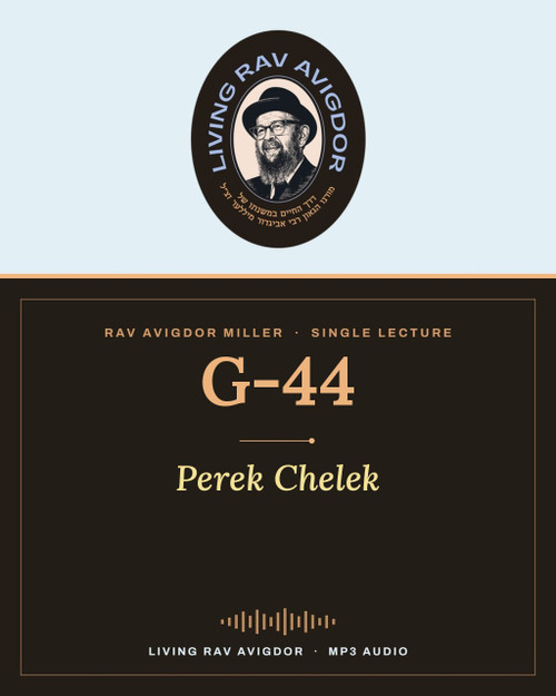 Rav Avigdor Miller lecture G-44 – Perek Chelek (MP3)