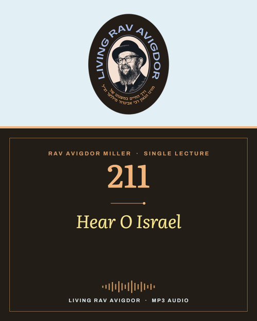 Rav Avigdor Miller MP3 lecture cover