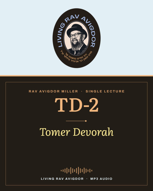 Rav Avigdor Miller MP3 lecture cover