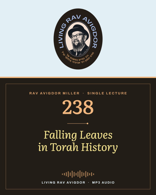 Rav Avigdor Miller MP3 lecture cover