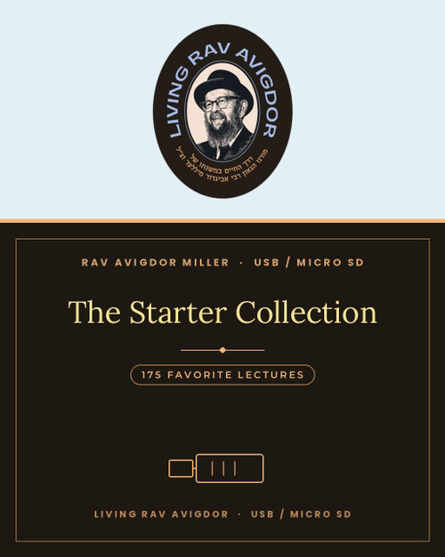 The Starter Collection – 175 favorite Rav Avigdor Miller lectures on USB