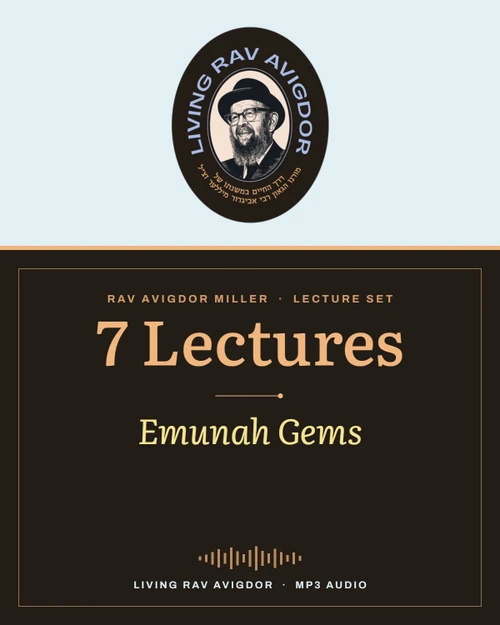 Rav Avigdor Miller MP3 lecture cover