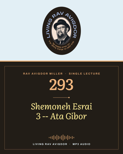 Rav Avigdor Miller MP3 lecture cover