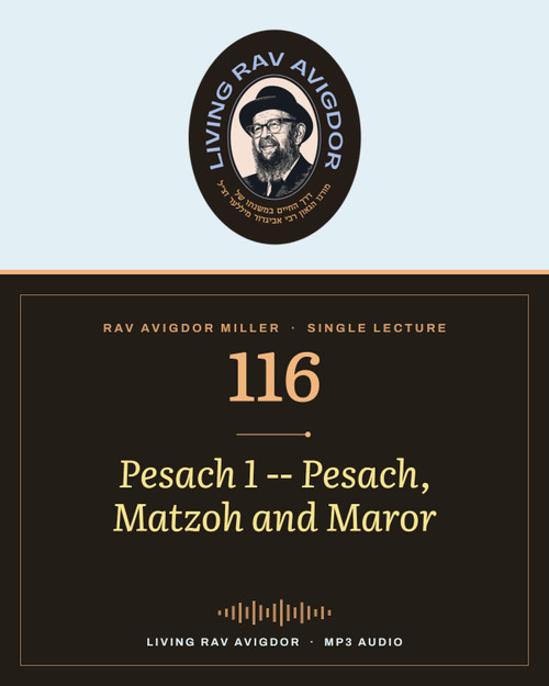 Rav Avigdor Miller MP3 lecture cover