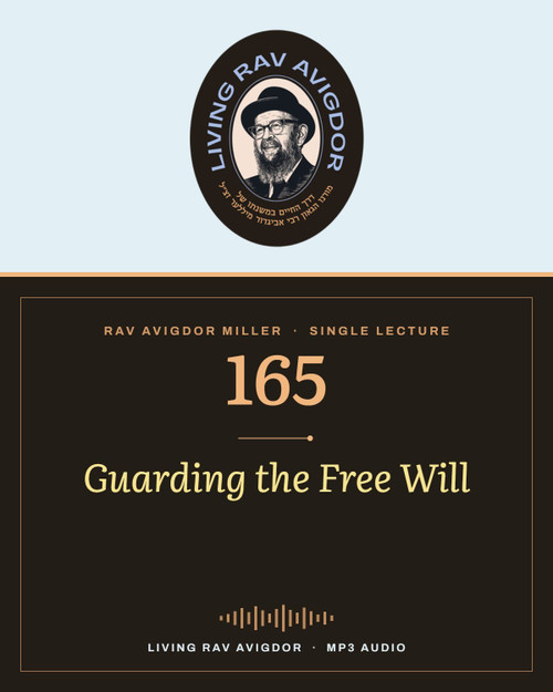 Rav Avigdor Miller MP3 lecture cover