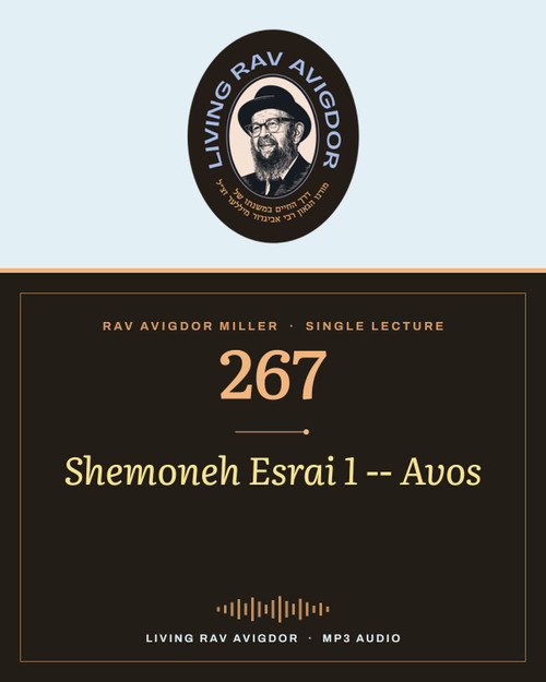 Rav Avigdor Miller MP3 lecture cover