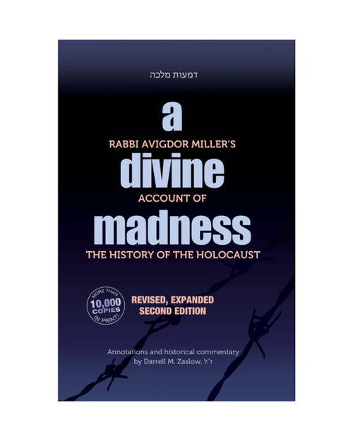 A Divine Madness: Second Edition