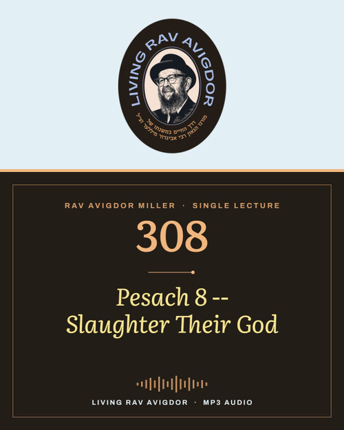 Rav Avigdor Miller MP3 lecture cover