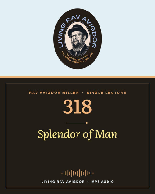 Rav Avigdor Miller MP3 lecture cover