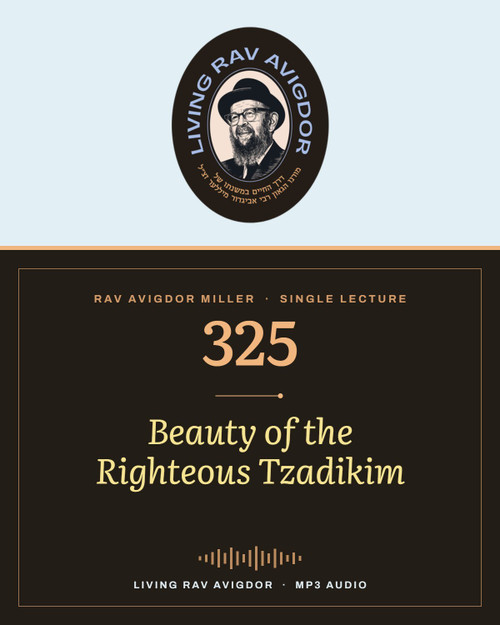 Rav Avigdor Miller MP3 lecture cover