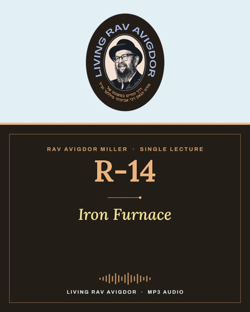 Rav Avigdor Miller lecture R-14 – Iron Furnace (MP3)
