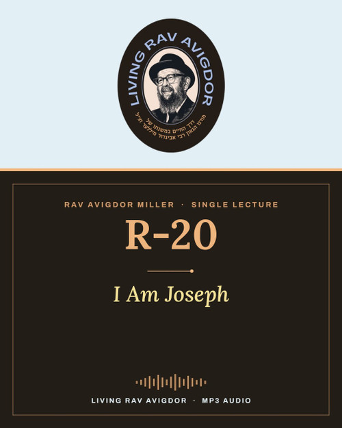 Rav Avigdor Miller lecture R-20 – I Am Joseph (MP3)