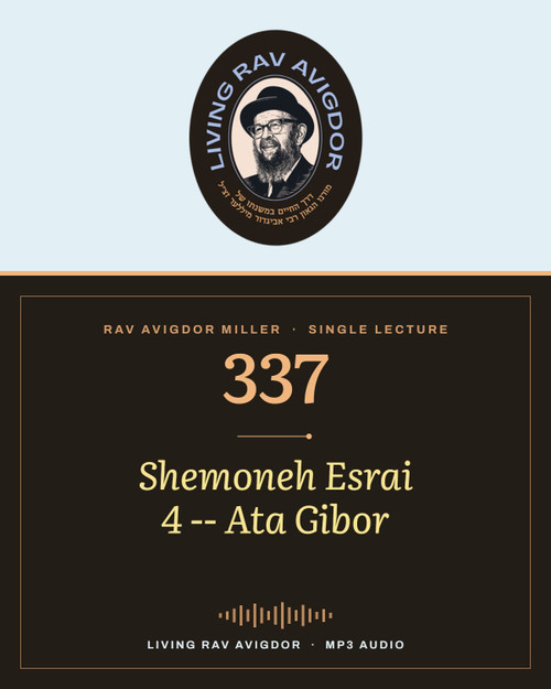 Rav Avigdor Miller MP3 lecture cover