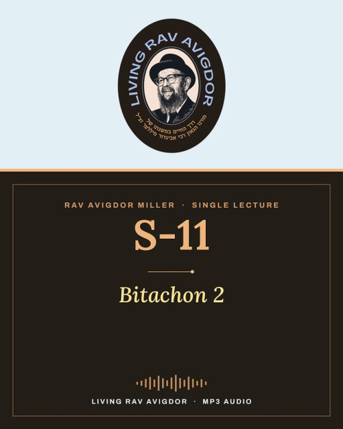 Rav Avigdor Miller lecture S-11 – Bitachon 2 (MP3)
