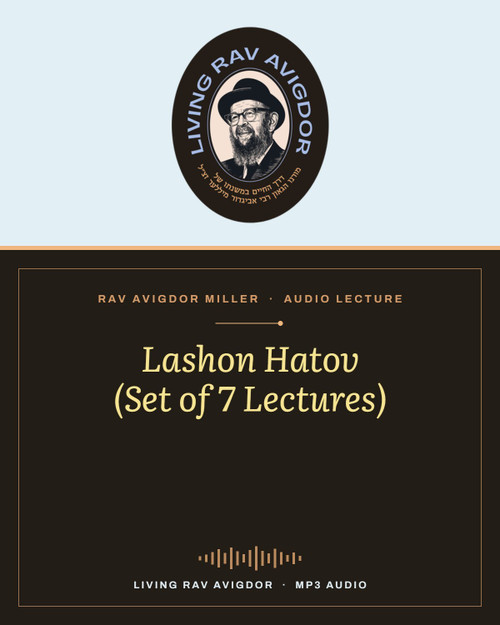 Rav Avigdor Miller MP3 lecture cover