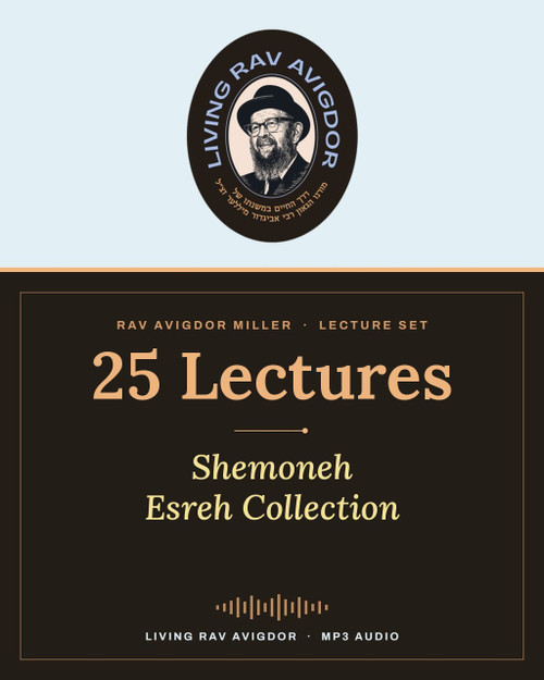 Rav Avigdor Miller – Shemoneh Esreh Collection (25 Lectures, MP3)