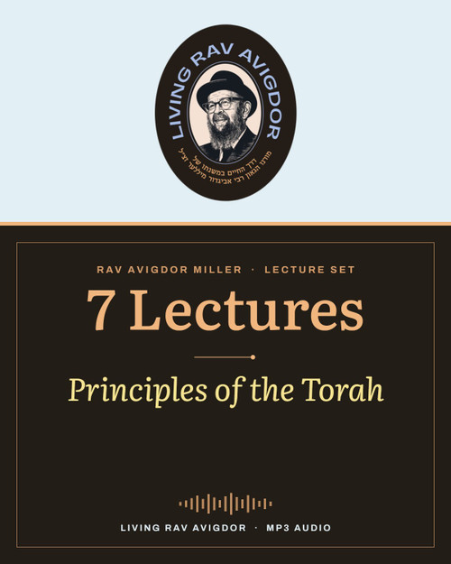 Rav Avigdor Miller MP3 lecture cover