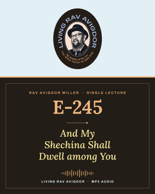Rav Avigdor Miller lecture E-245 – And My Shechina Shall Dwell among You (MP3)