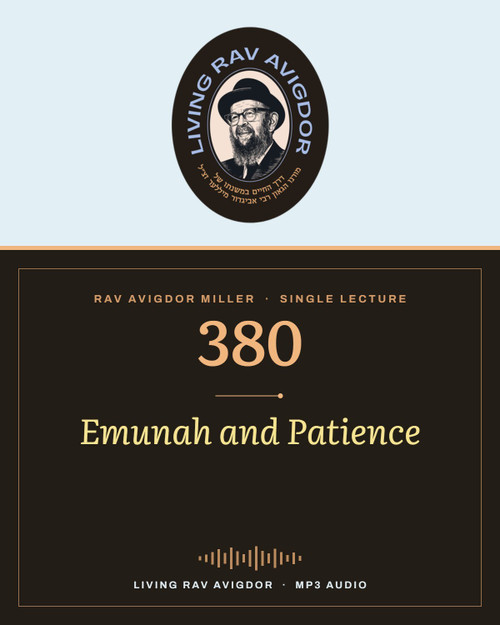 Rav Avigdor Miller MP3 lecture cover