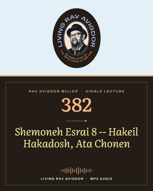 Rav Avigdor Miller MP3 lecture cover