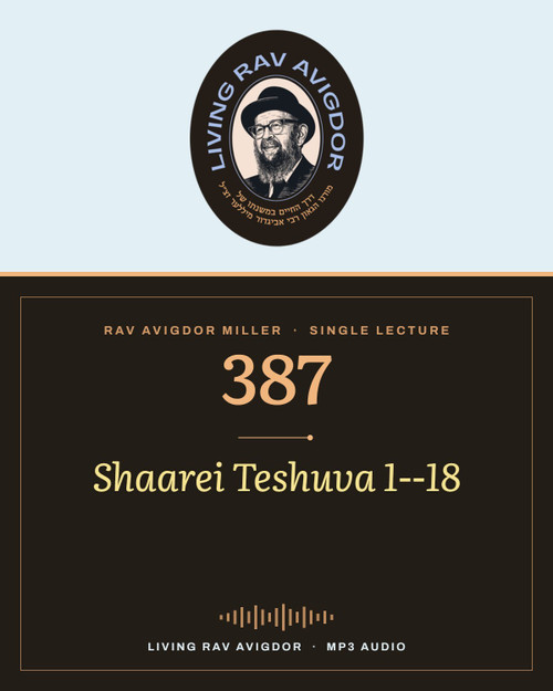 Rav Avigdor Miller MP3 lecture cover