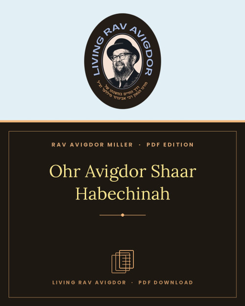 Ohr Avigdor Shaar Habechinah — PDF edition
