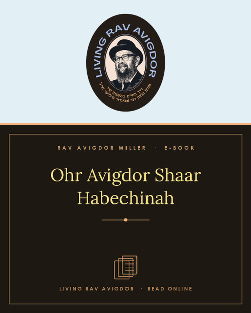 Ohr Avigdor Shaar Habechinah — read online, view-only e-book