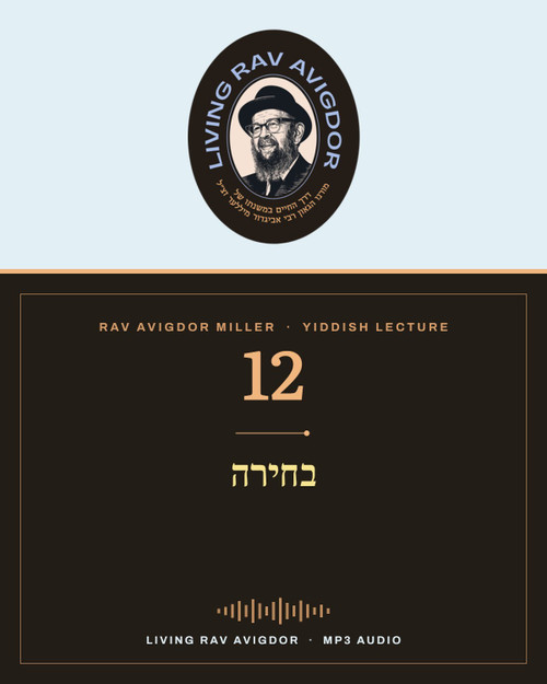 Rav Avigdor Miller MP3 lecture cover