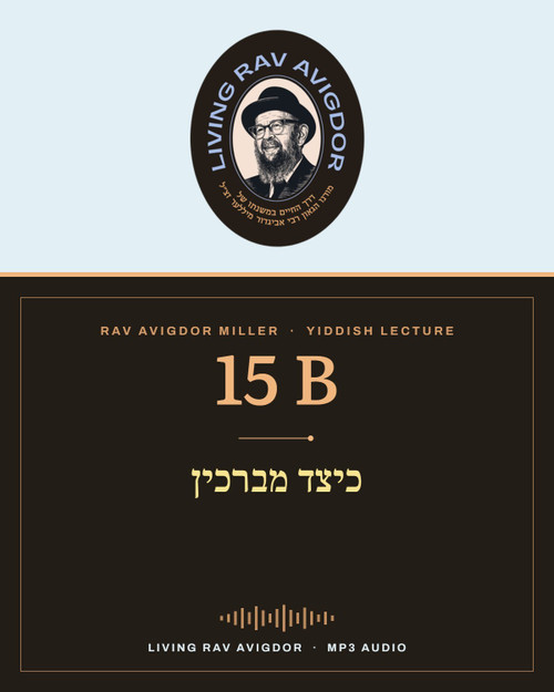 Rav Avigdor Miller MP3 lecture cover