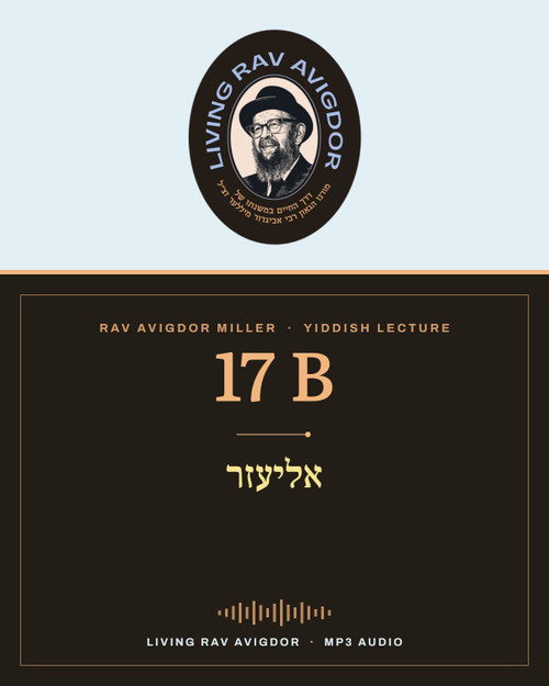 Rav Avigdor Miller MP3 lecture cover