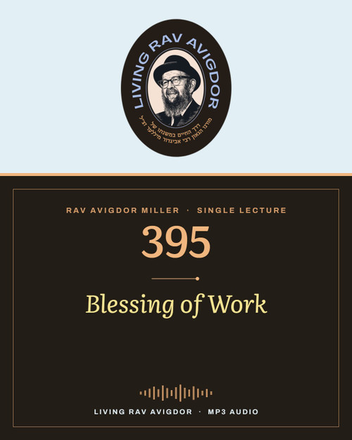 Rav Avigdor Miller MP3 lecture cover