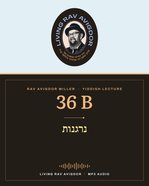 Rav Avigdor Miller MP3 lecture cover